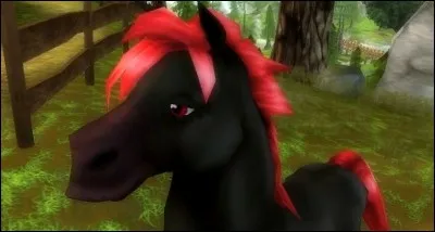 Où se trouve ce petit poney ?