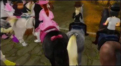 Quel est ce championnat ?