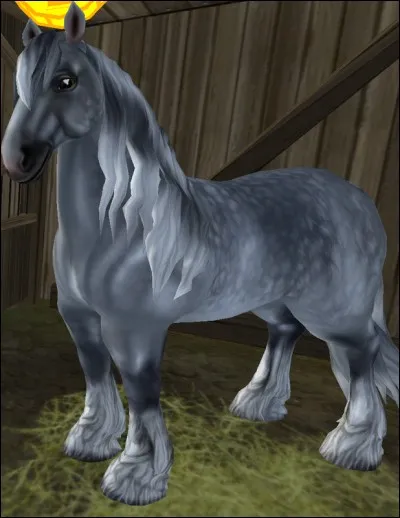 Où se situe ce shire ?