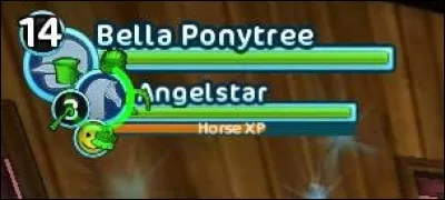 Comment faisons-nous monter les niveaux de nos chevaux ?