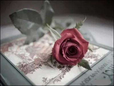 "Vous avez tous lu "Le mariage de Figaro" ! Mais vous souvenez-vous du prénom de la fiancée de Figaro ?