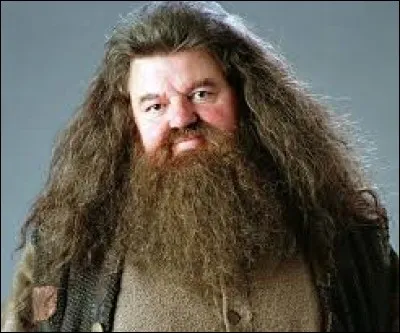 Dans 'Harry Potter à l'école des sorciers', qu'offre Hagrid à Harry pour ses 11 ans ?