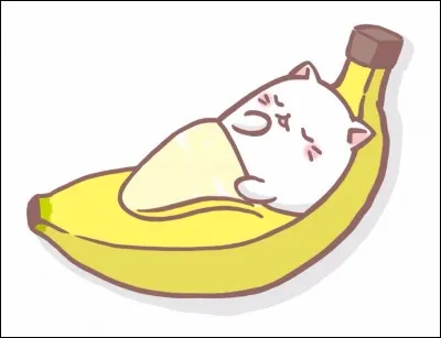 Quelle race de chat n'existe pas ?