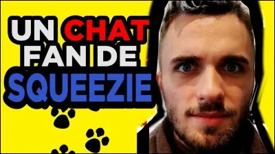 Il y a &eacute;norm&eacute;ment de youtubeurs avec des chats ; un youtubeur nomm&eacute; Squeezie a deux chats. Quels sont leurs noms ?