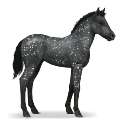 J'ai trouvé un adorable poulain, mais il est sauvage et n'a pas son carnet de santé ; dis-moi sa race !