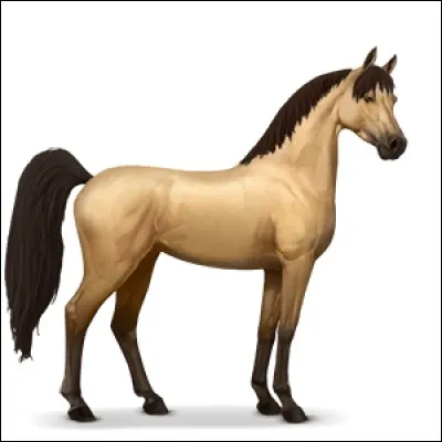 WOAH ! Quel superbe cheval ! (On peut dire que sa robe lui va bien !) Quelle est sa race ?