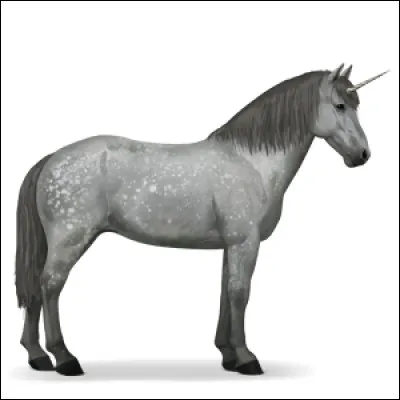 WOAH ! C'est une licorne ! Mais de quelle race ? A toi de me le dire !