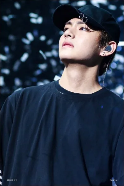 Quel est le vrai nom de V ?