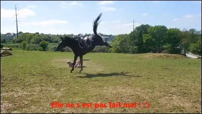 Le frison est utilisé pour...