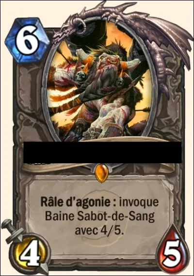 Comment s'appelle cette carte ?