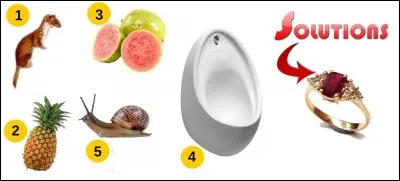 La solution est-elle la bonne réponse ?