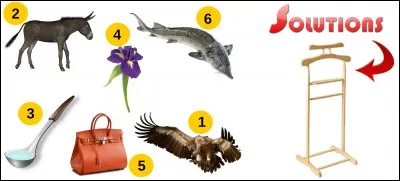 La solution est-elle la bonne réponse ?