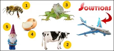 La solution est-elle la bonne réponse ?