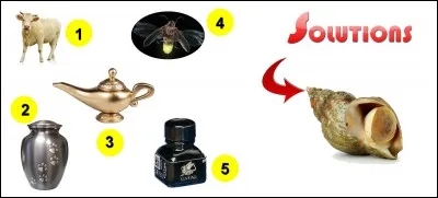 La solution est-elle la bonne réponse ?