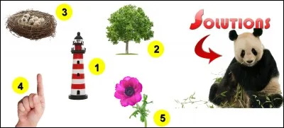 La solution est-elle la bonne réponse ?