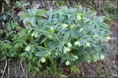 Avoir besoin de deux grains ...