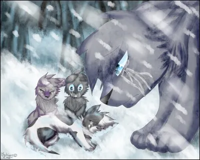 Qui sont ses chatons ?