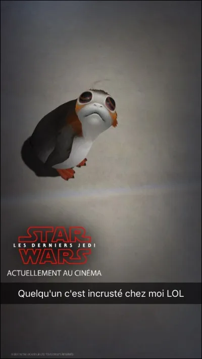 Quel est ton film pr&eacute;f&eacute;r&eacute; ?