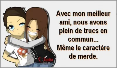 Comment décrirais-tu tes amis ?