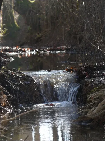À cause des modifications de l'humain, le ruissellement...