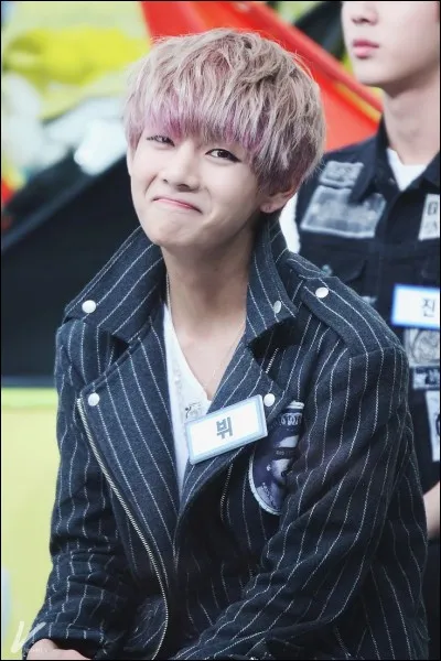 Quel est le surnom de V ?