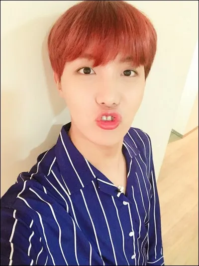 J-Hope a une sur. Combien d'années a-t-elle de plus que lui ?