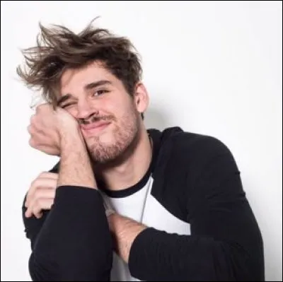 Avec quel vidéo Ivan Bede a-t-il fait le buzz du buzz qui a buzzé le monde ?