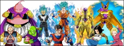Comment s'appelle la team de Dragon Ball ?