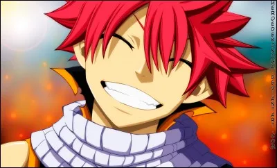 Qui est le frère de Natsu (Fairy Tail) ?