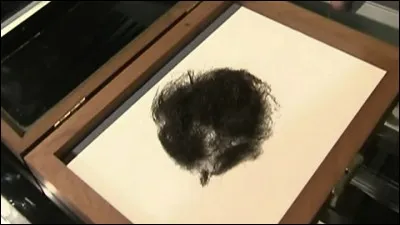 18 300 dollars, soit environ 15 000 euros, c'est à ce prix qu'a été vendue une touffe de cheveux ayant appartenu à...