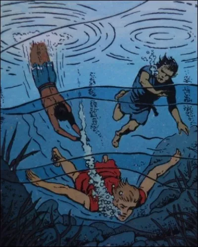 De quel album est tirée cette vignette ?