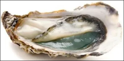 Quel numéro va avoir la plus grosse taille d'huîtres ?