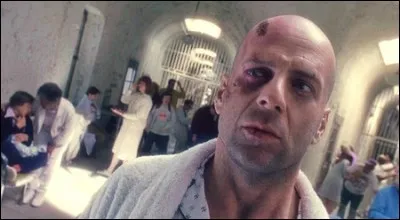 L'armée des ... singes !