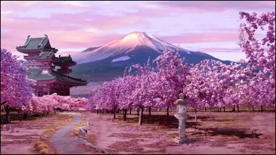 Avec qui a-t-il fait une vidéo sur les objets WTF du Japon ?
Pas celle des 40 min