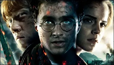 Comment es-tu fan du livre "Harry Potter" ?