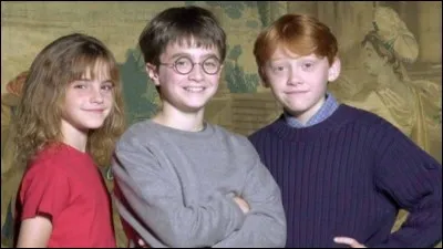 Qui préfères-tu entre les héros ?