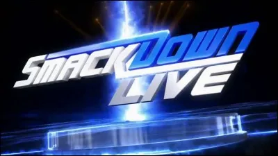 Qui est allé à SmackDown lors de la Brand Extension ?