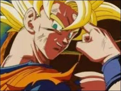 Où Gokû apprend le déplacement instantané ?