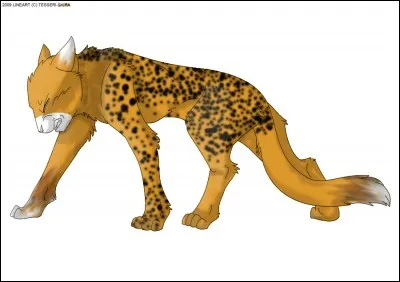 Qui est le personnage sur l'image ?