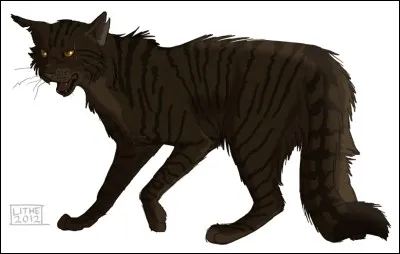 Qui est le personnage sur l'image ?