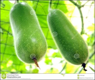 Quel fruit est habituellement vert ?