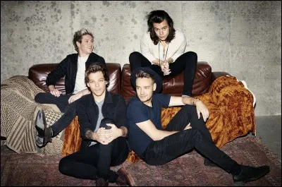 De quel groupe a-t-il fait partie ?