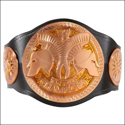 Qui a laissé les titres Tag Team Championship?