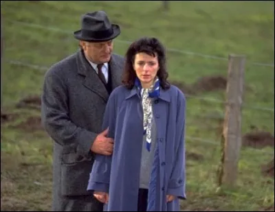 Par quoi sont interrompues "Les vacances de Maigret" dans le roman éponyme de Georges Simenon ? (ou dans le film)