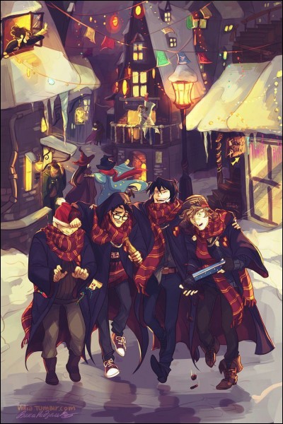 Dans "Harry Potter à l'école des sorciers", de quel personnage ne parle-t-on pas?
