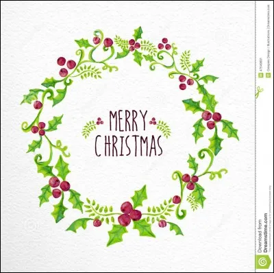 Toujours dans le premier, que donne Dumbledore à Harry Potter pour Noël?