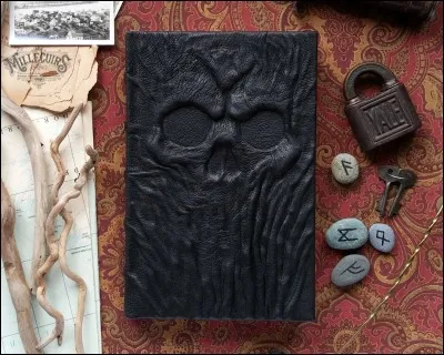 Dans "Harry Potter 2", quelle personne donne à Ginny le journal de Jedusor?