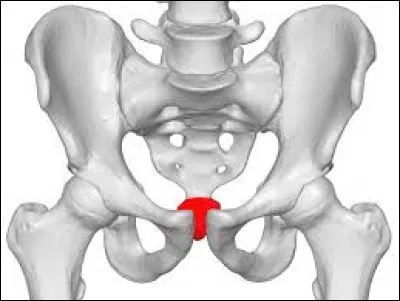 Trouvez la bonne orthographe du mot.