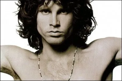 Comme Jim Morrisson, Whitney Houston a été retrouvée morte dans sa baignoire.