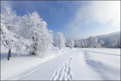 Elles se déroulent au début de l'hiver.